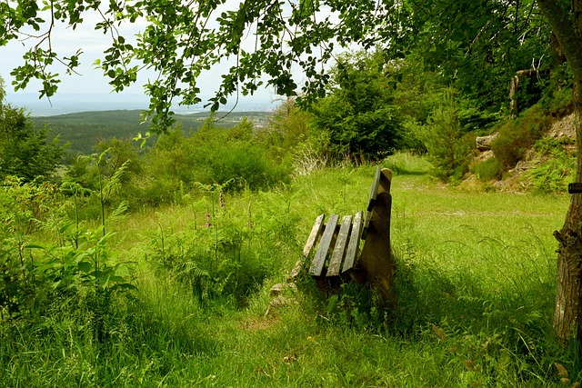 在上半场第 在上半场第
